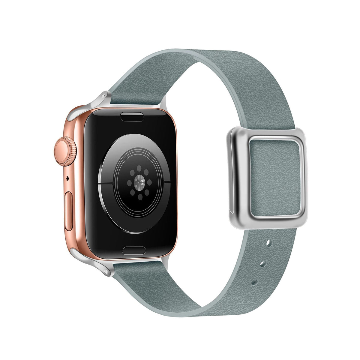 Apple Watch band colours arranged together