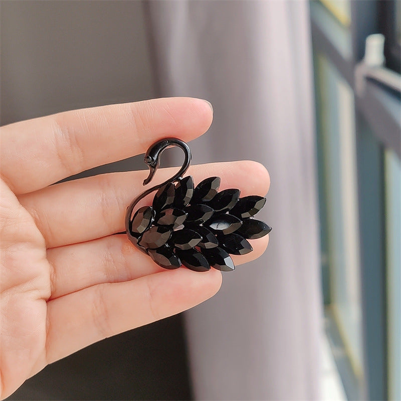 Multi-purpose brooch securing scarf